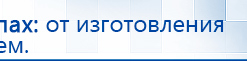 СКЭНАР-1-НТ (исполнение 01)  купить в Озерске, Аппараты Скэнар купить в Озерске, Дэнас официальный сайт denasolm.ru